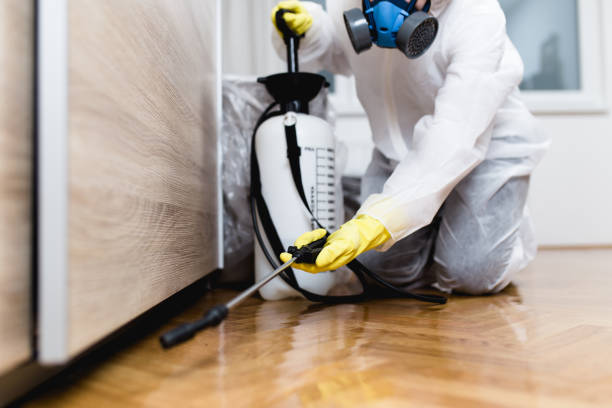 Best Pest Prevention Services  in Fort Hall, ID