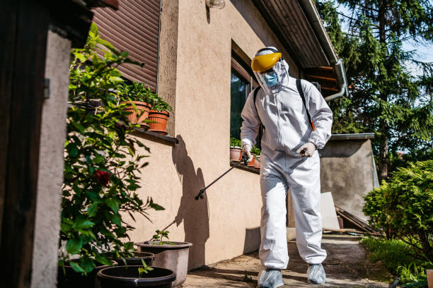 Best Affordable Pest Control Services  in Fort Hall, ID