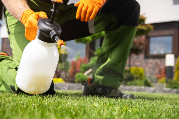 Best Affordable Pest Control Services  in Fort Hall, ID