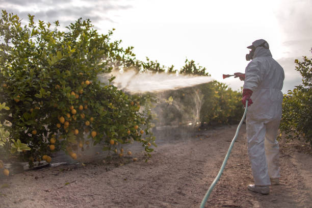 Trusted Fort Hall, ID Pest Control Experts