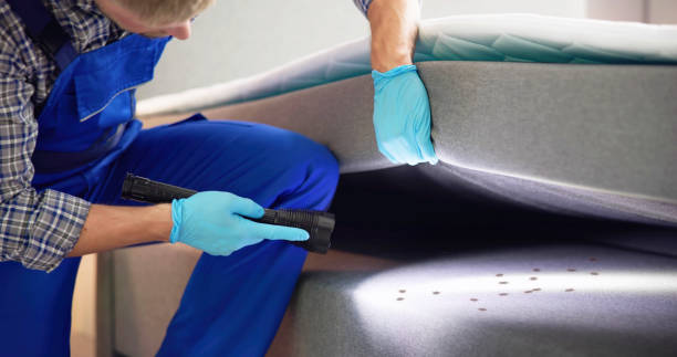 Best Commercial Pest Control Services  in Fort Hall, ID